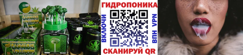 Купить где  Называевск  Canna-Cookies марихуана 