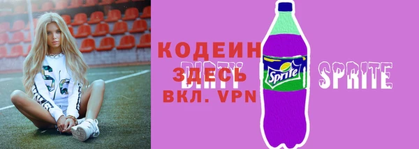 гашик Горняк