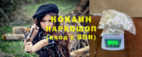 гашик Горняк