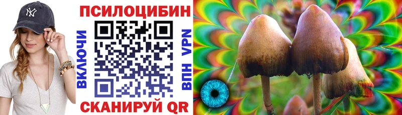 Купить закладки  Называевск  Галлюциногенные грибы Psilocybine cubensis 